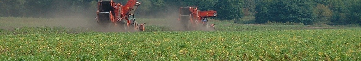 Aardappelrooien_028_bannerpage